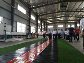 湖南省長許達(dá)哲親臨桃花江竹材科技