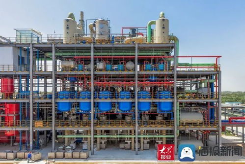 申請國家專利26項(xiàng) 成武縣晨暉環(huán)保科技公司產(chǎn)品總量占國內(nèi)的70