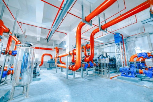 低碳又環(huán)保 這座水質(zhì)凈化廠 藏 在城市公園下