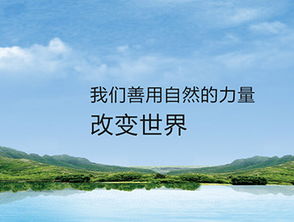 環(huán)保科技網(wǎng)站制作案例 沙漠風(fēng)網(wǎng)站建設(shè)公司