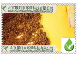 聚合氯化鋁,想象無(wú)限 供應(yīng)產(chǎn)品 北京雁歸來(lái)環(huán)保科技有公司