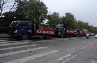 漁業(yè)增殖促生態(tài)，畜牧水產(chǎn)譜新篇——江西修水縣開(kāi)展資源放流活動(dòng)助力產(chǎn)業(yè)發(fā)展